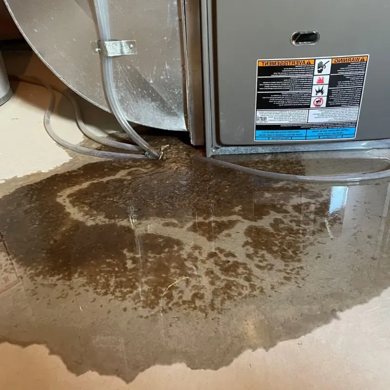 Pipe Burst and Leak Restoration in Moab, UT