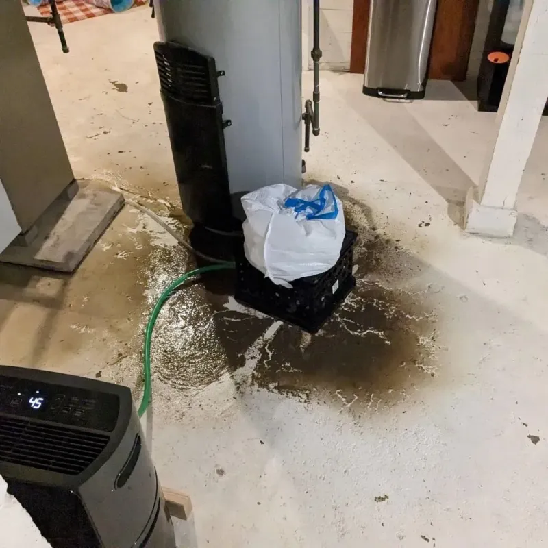 Sewage Backup Cleanup Service in Moab, UT